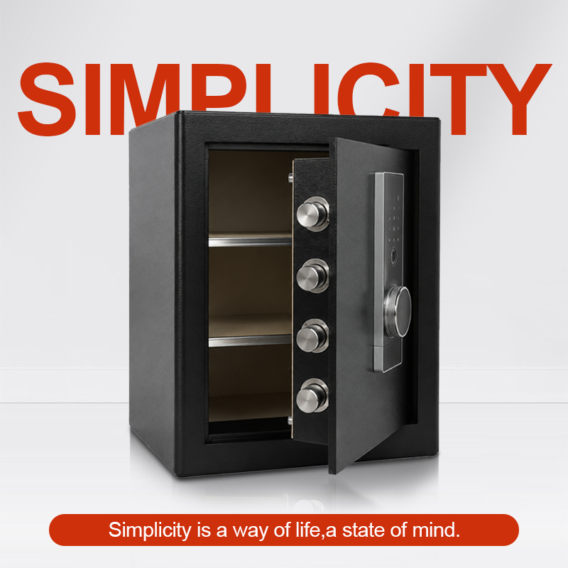 Biometric Fingerprint Safe Box - Home Security Box 评论和价格
