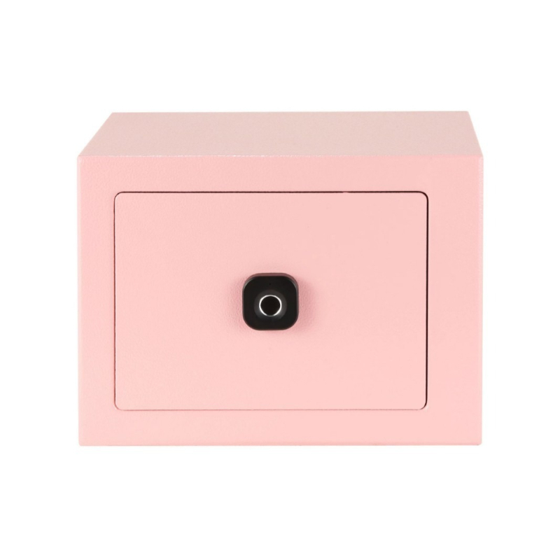 Model 17FO-DT Mini Safety Box  - Home Security Box 评论和价格